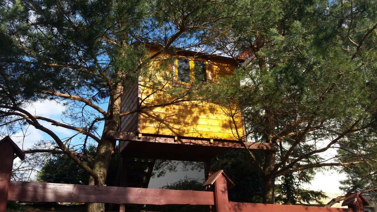 Villa Dom Na Wzgorzu Bad Altheide Exterior foto