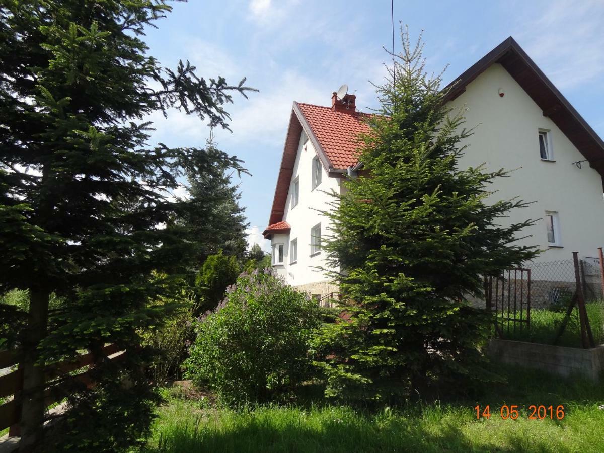 Villa Dom Na Wzgorzu Bad Altheide Exterior foto