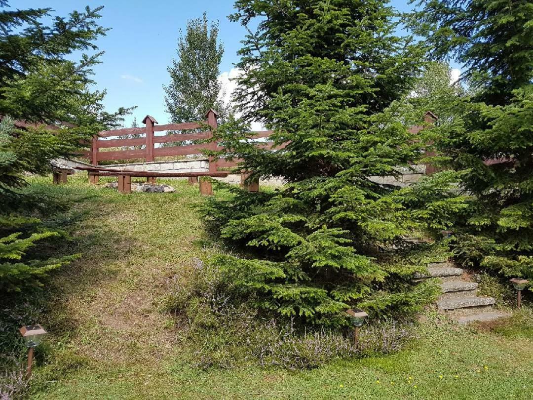 Villa Dom Na Wzgorzu Bad Altheide Exterior foto