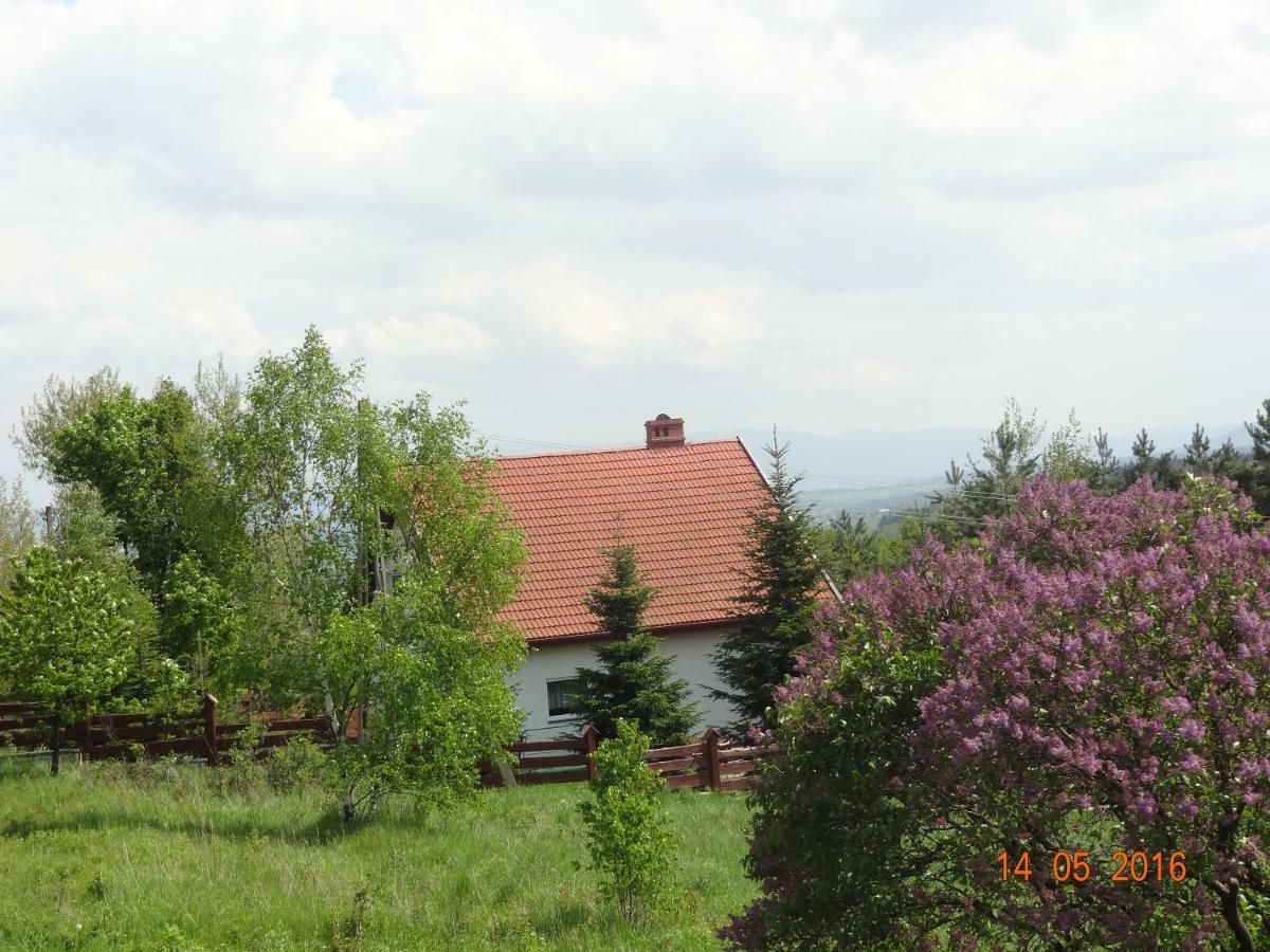 Villa Dom Na Wzgorzu Bad Altheide Exterior foto