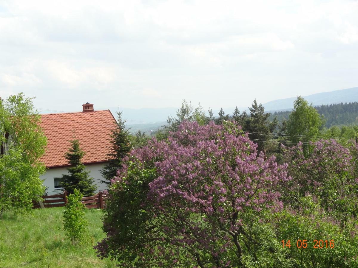 Villa Dom Na Wzgorzu Bad Altheide Exterior foto