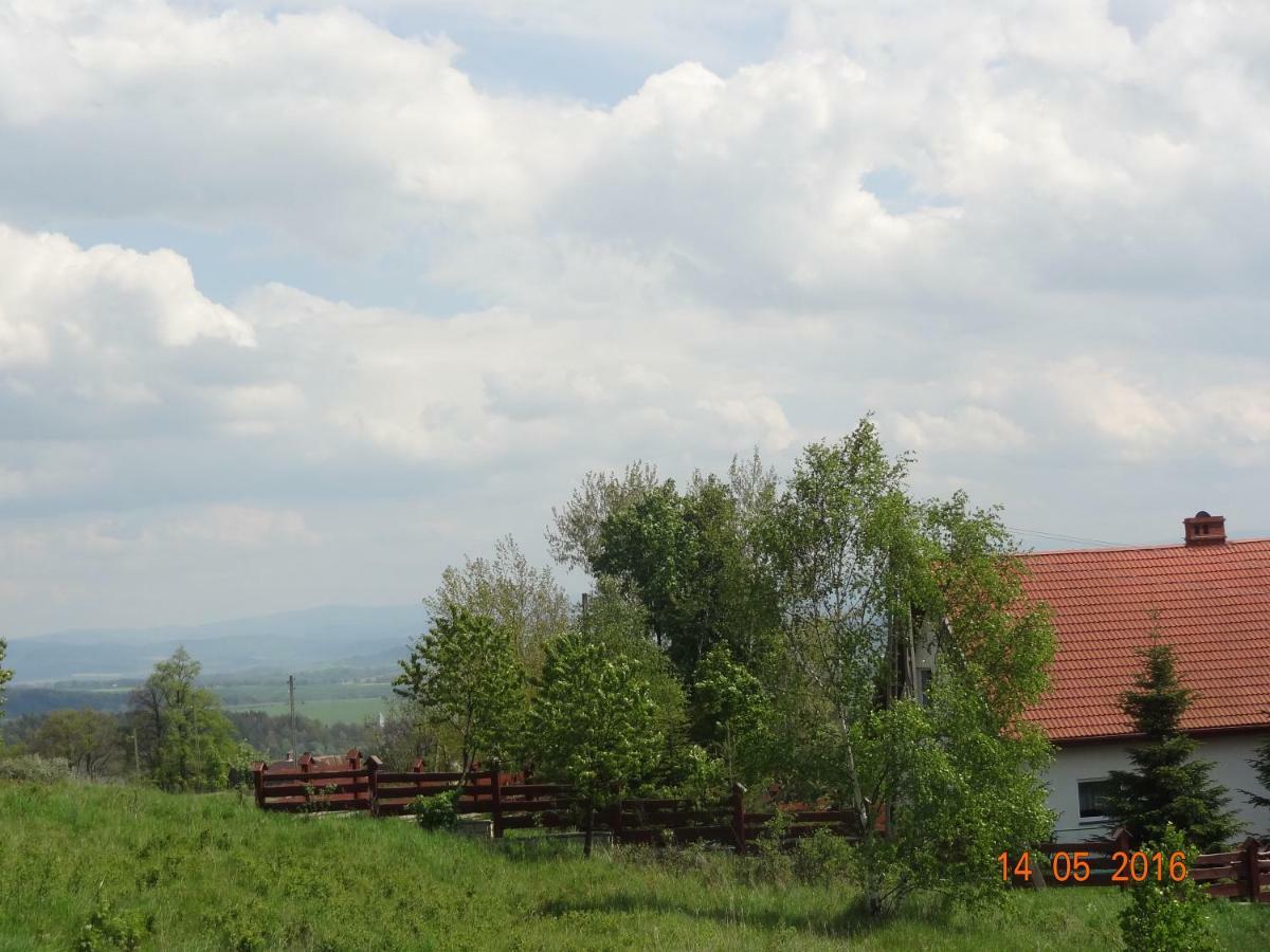 Villa Dom Na Wzgorzu Bad Altheide Exterior foto